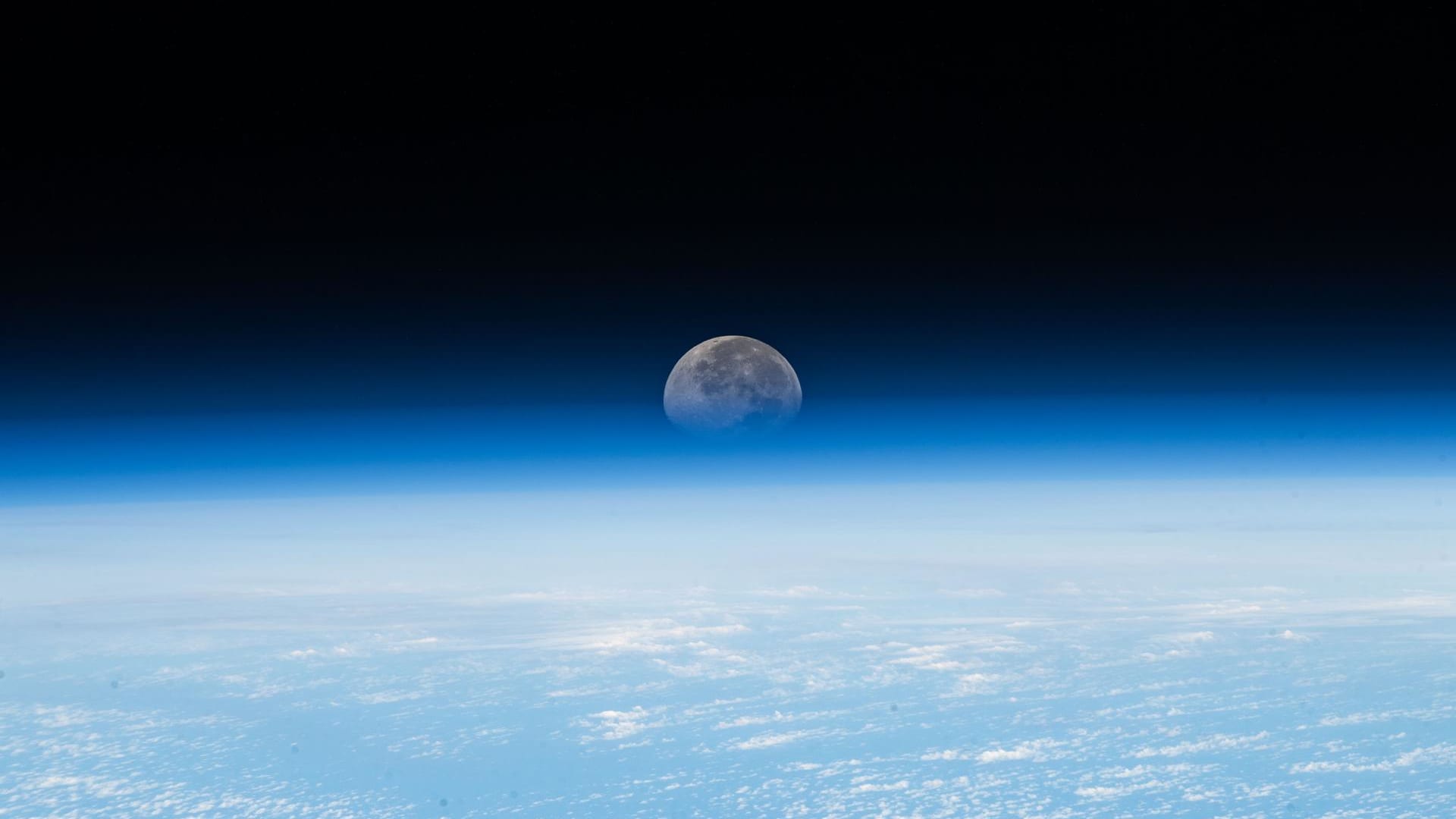 "Intuitive Machines' Moon Mission Soars: Stock Jumps 16% as 'Odysseus' Launches for Historic Lunar Landing"