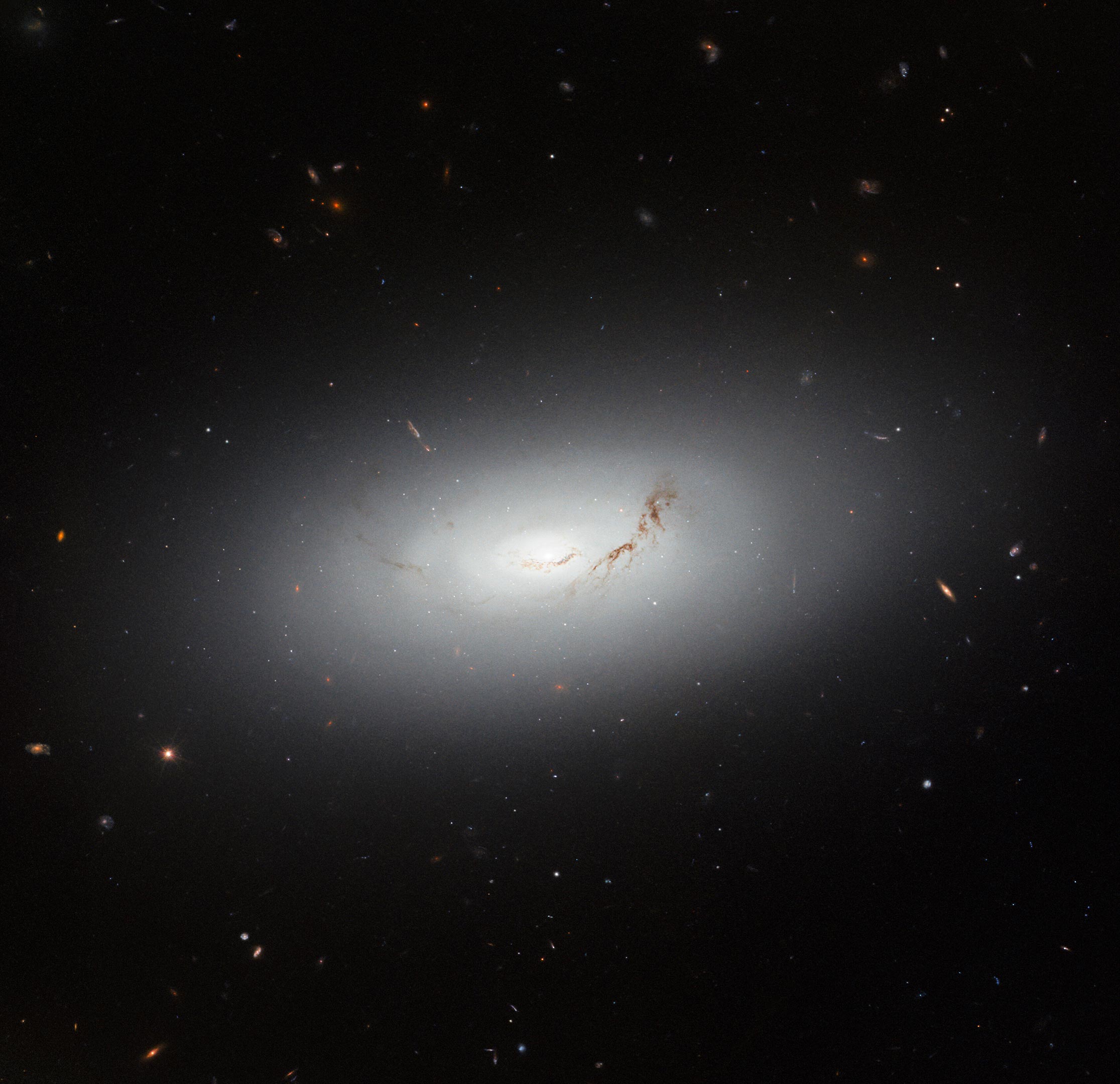 Featured image for Navigating the Cosmos: Hubble's Glimpse of NGC 3156