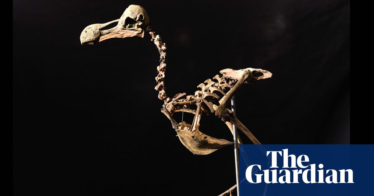 Featured image for "Shocking Study Reveals Humans Have Driven Double the Number of Bird Species to Extinction"