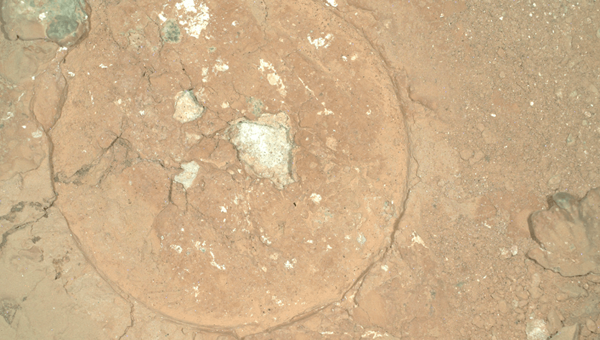 NASA's Perseverance Rover Uncovers Intriguing Green-Spotted Rock on Mars