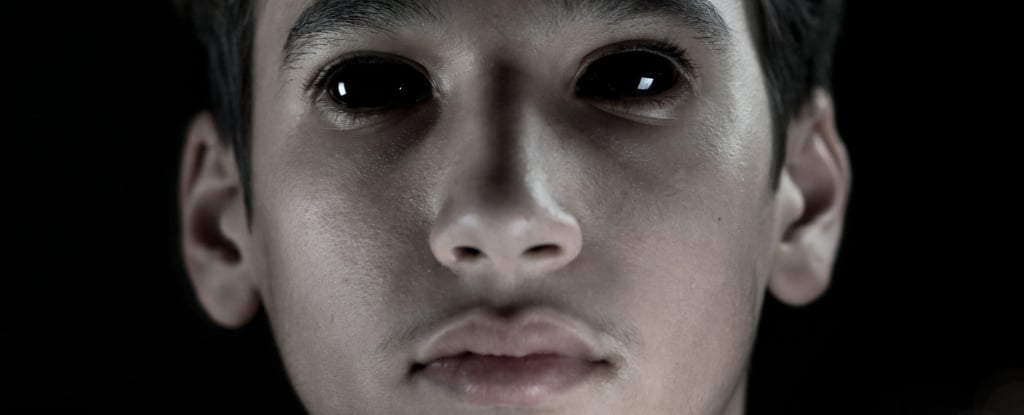 Featured image for "Uncovering the Brain's Fear Switch and How to Disable It"