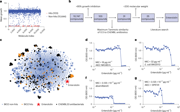 Featured image for AI-Driven Discovery of Targeted Antibiotics for Gut Bacteria and IBD