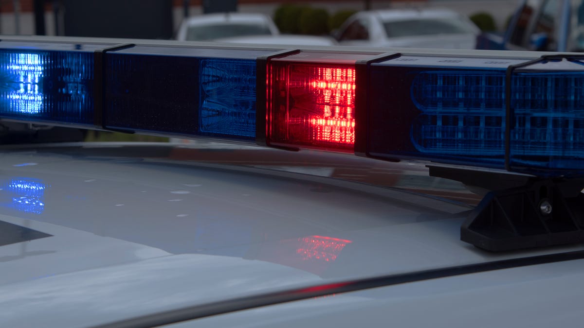 Featured image for Fatal Dog Attack in Rockport, Texas.