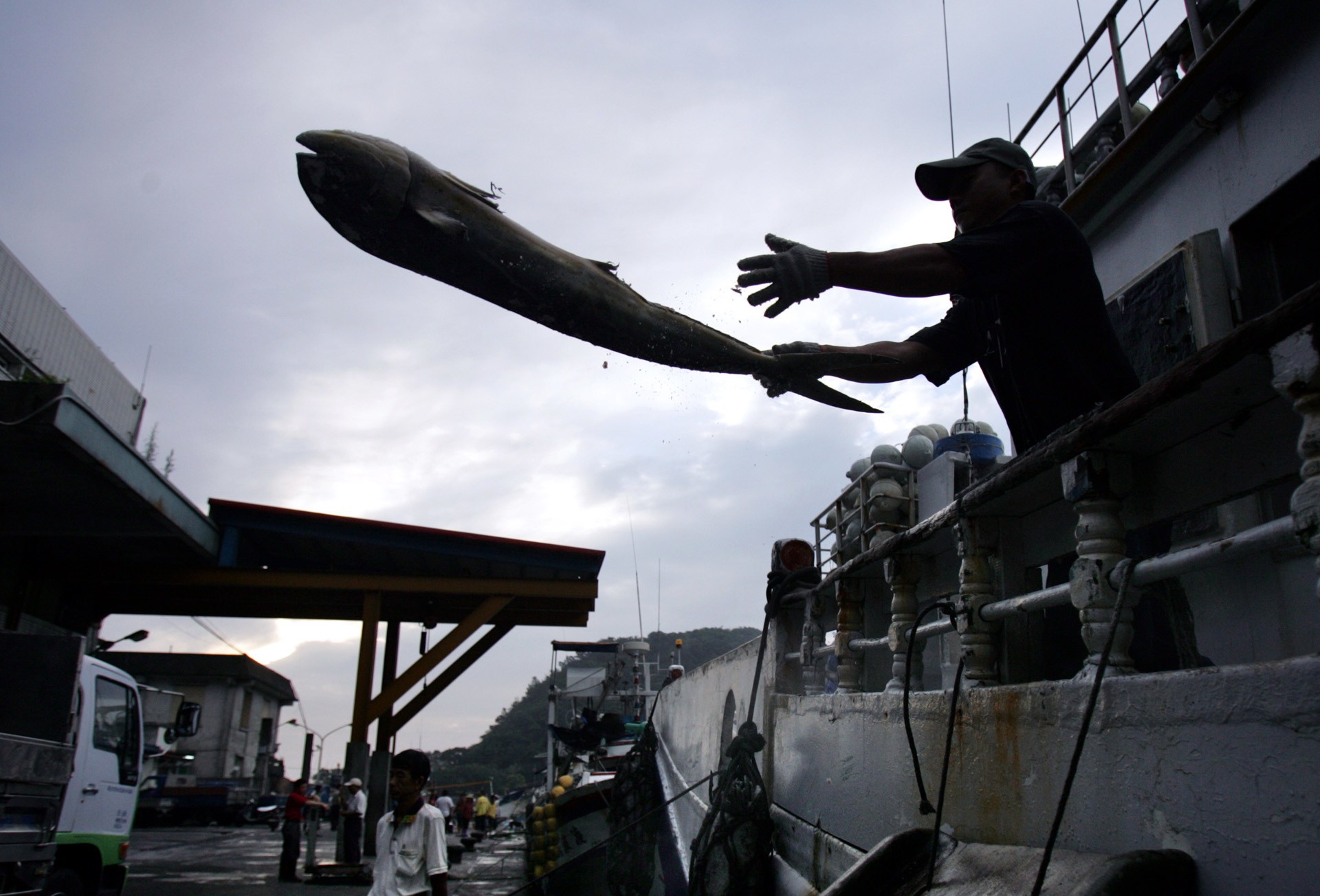 Featured image for Global Report Reveals Shocking Prevalence of Modern Slavery in Multiple Countries.