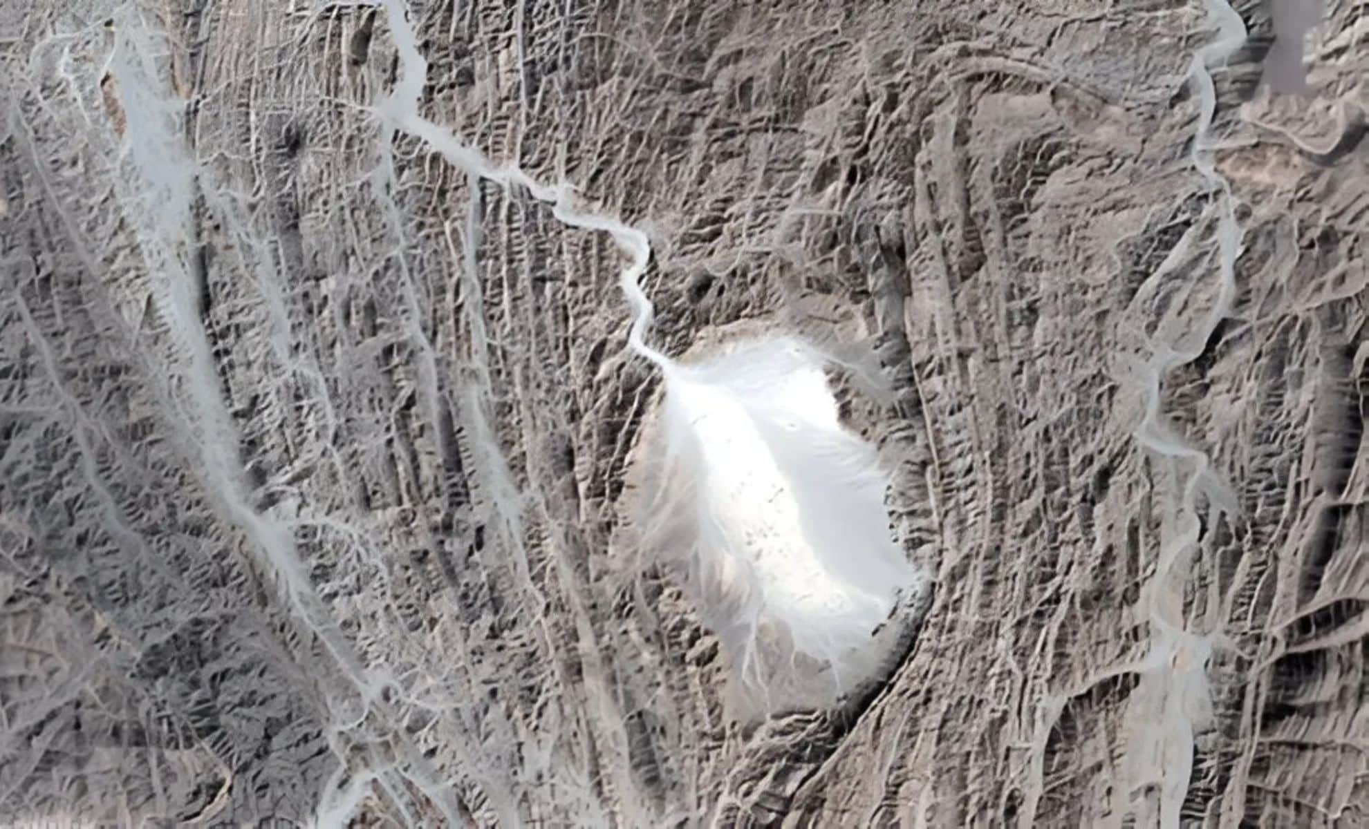 Featured image for Ancient Sperm Fossils Discovered in Antarctica, Oldest Ever