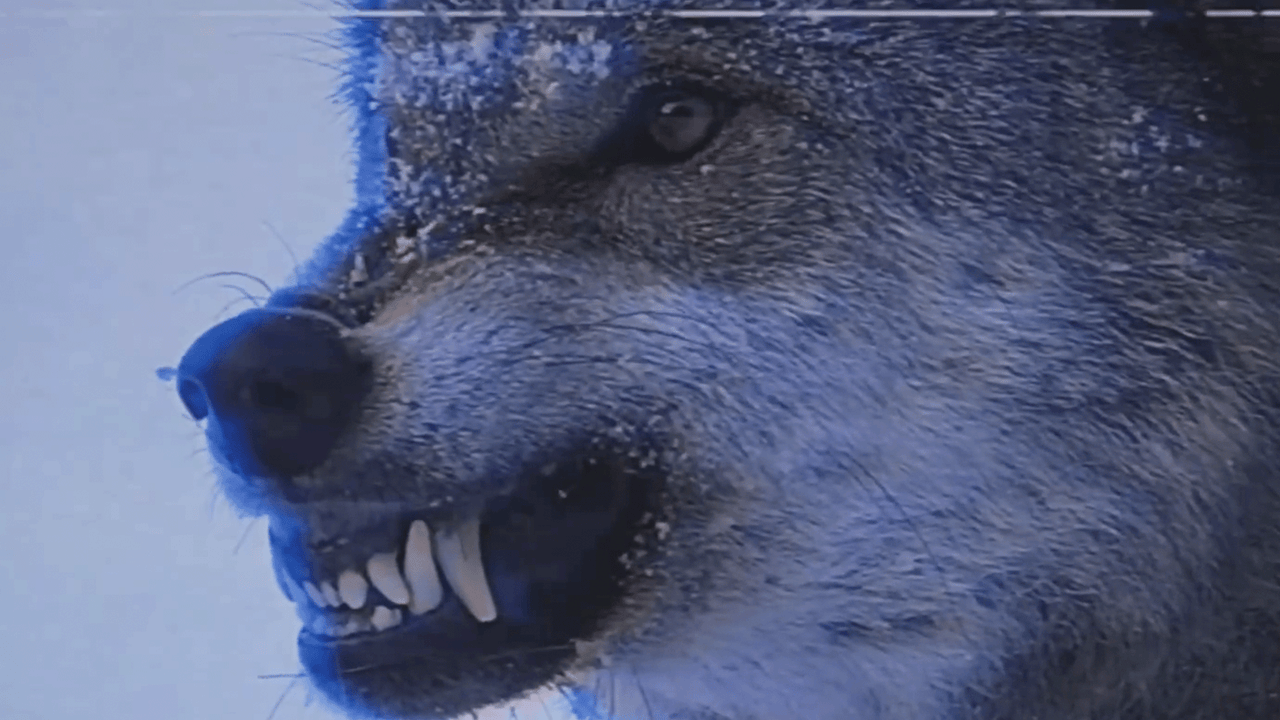 "Call of Duty: Black Ops 6 Teaser Drops, Confirmed for Last-Gen Consoles"