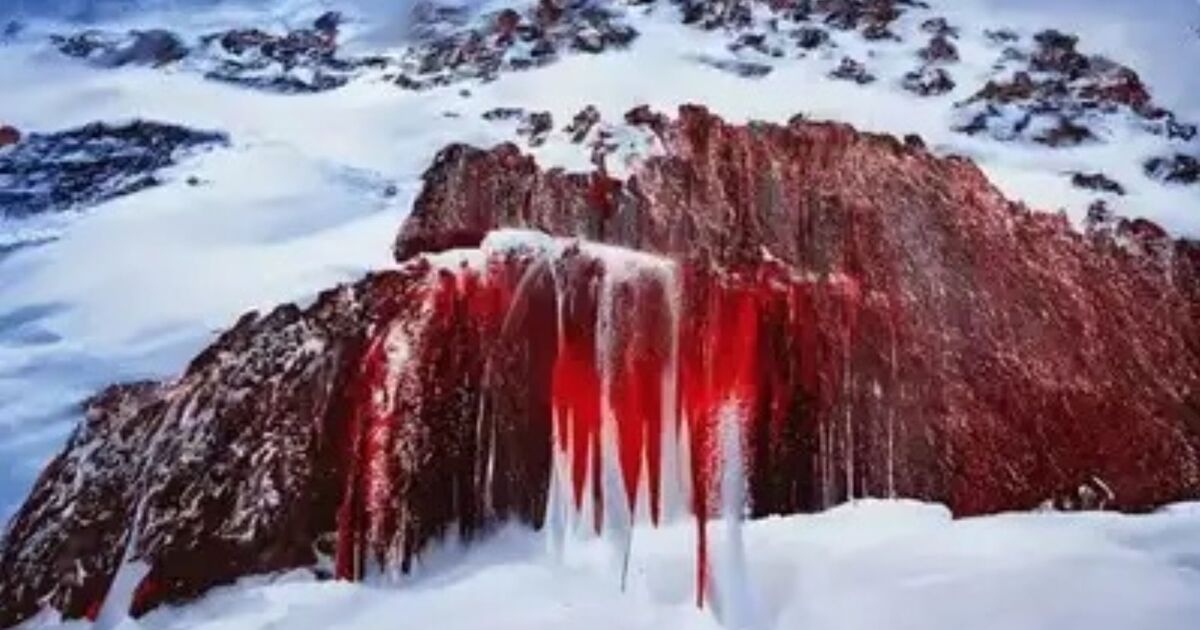 Featured image for Centuries-Old Blood-Red Waterfall Flows from Antarctic Glacier