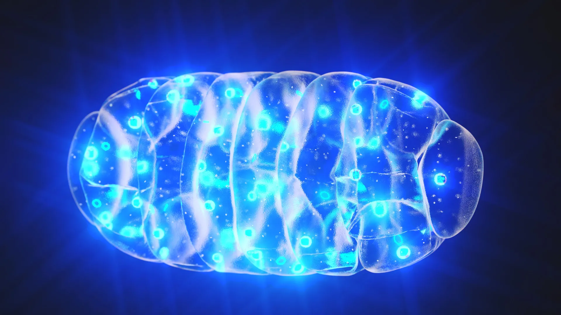 Featured image for Mitochondria-Targeted Therapy Reverses Dementia Symptoms in Mice