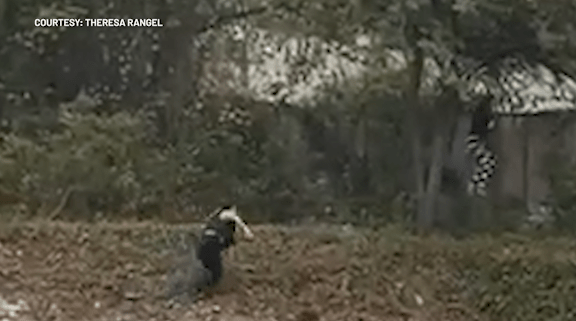 Featured image for Texas Yoga Instructor Accused of Murder Attempts Escape from Custody