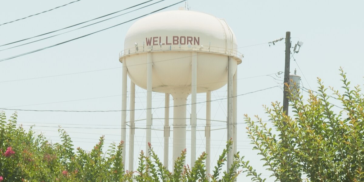 Featured image for "City of College Station Unveils Ambitious 10-Year Wellborn District Plan"