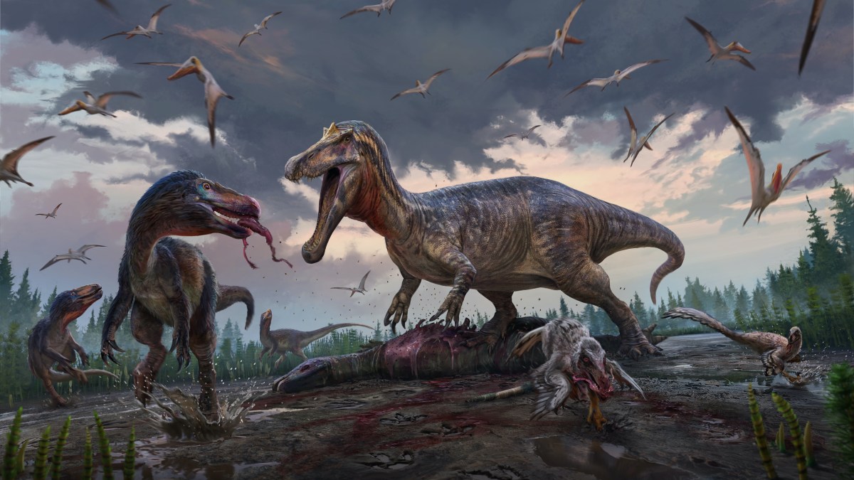 Fossil Hunter Discovers T. Rex Cousin in Sussex