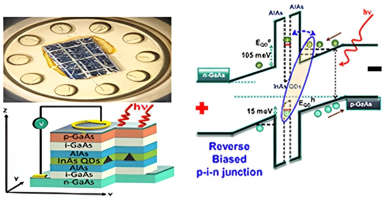 Featured image for "Controlling Exciton Qubits: Manipulating Quantum Oscillations in a Bose-Einstein Condensate"