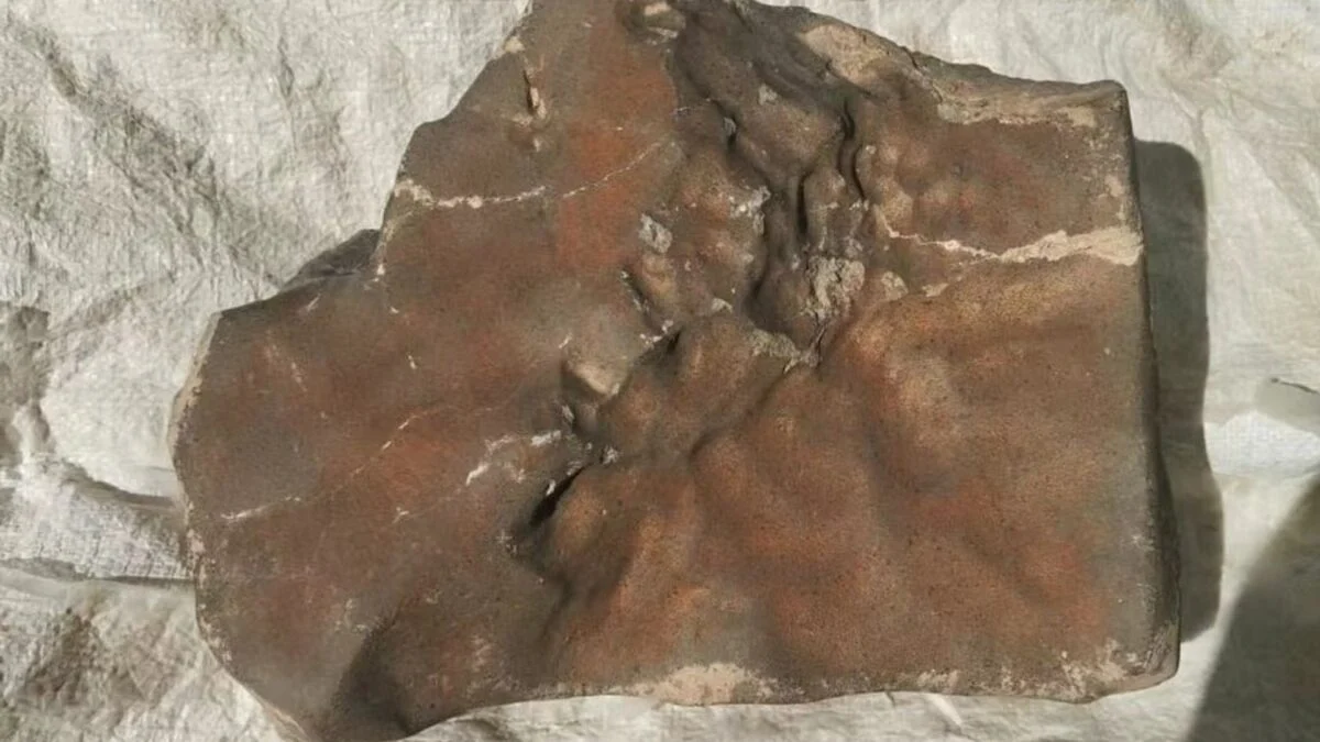 Featured image for Massive Martian Meteorite Expected to Fetch $4 Million at Auction