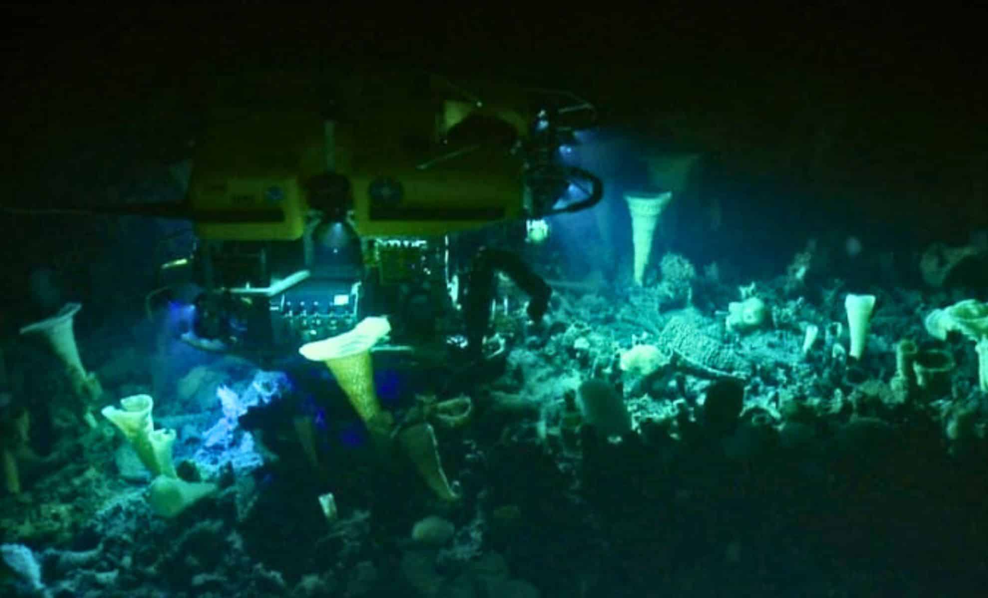 Featured image for Scientists Discover Thousands of Giant Living Eggs in Active Underwater Volcano