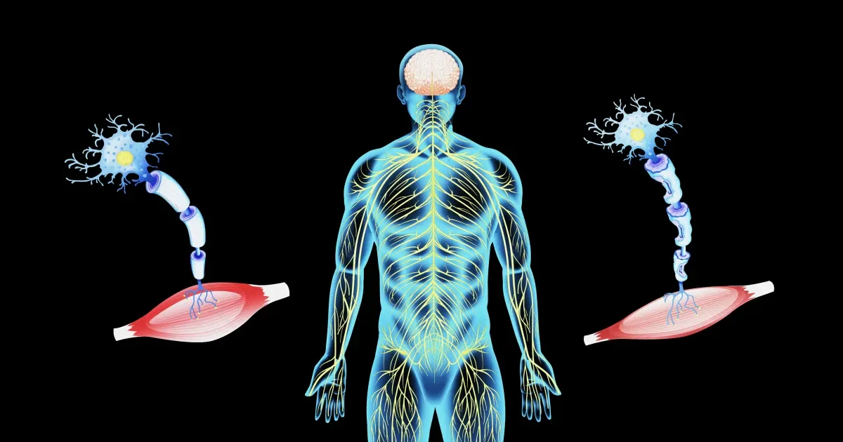 Link found between ancient virus and ALS.