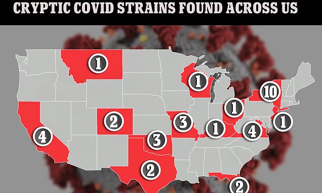 "Scientists search for patient with rare, long-term COVID strain in multiple states"