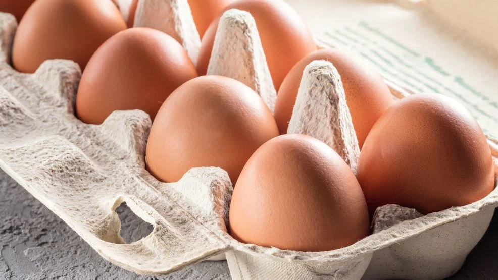 Featured image for Massive Salmonella Outbreak Prompts Recall of 1.7 Million Eggs Across Multiple States