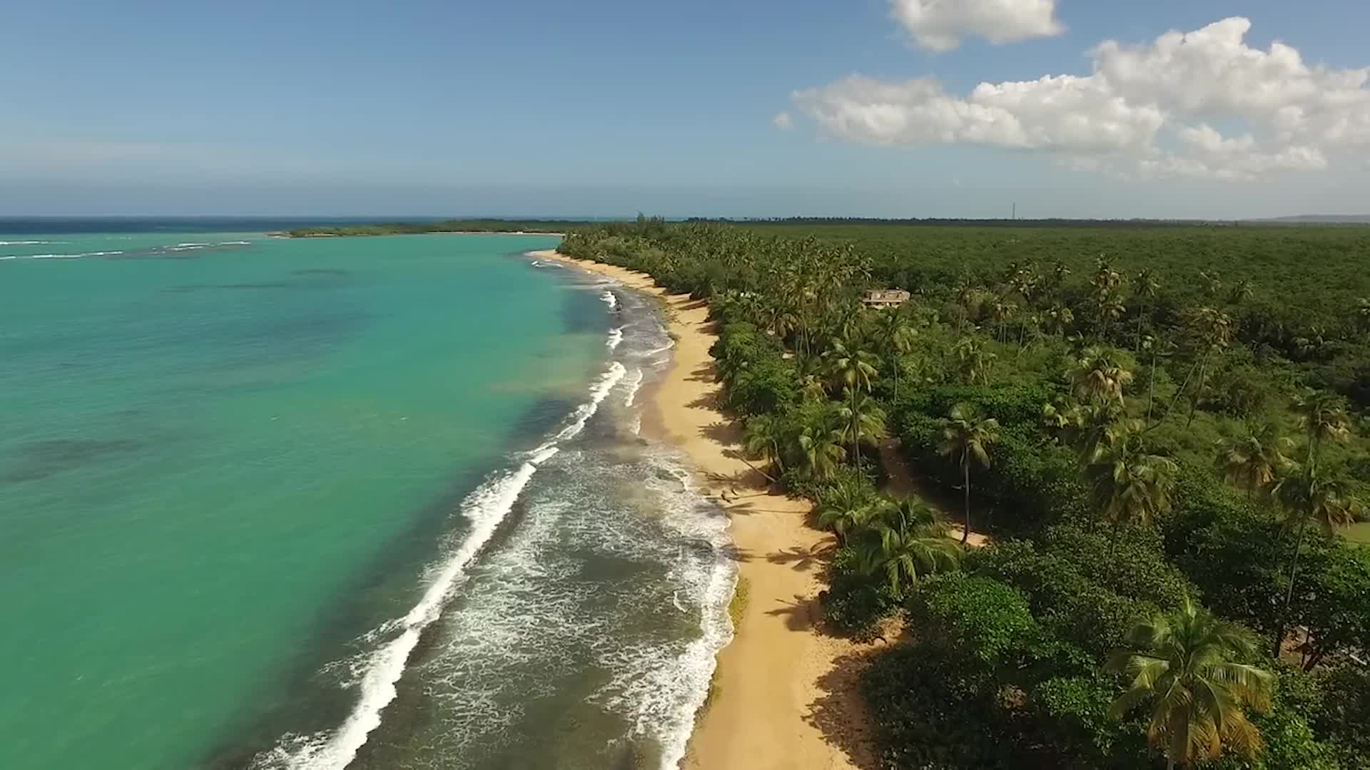 Puerto Rico Declares End to Dengue Epidemic