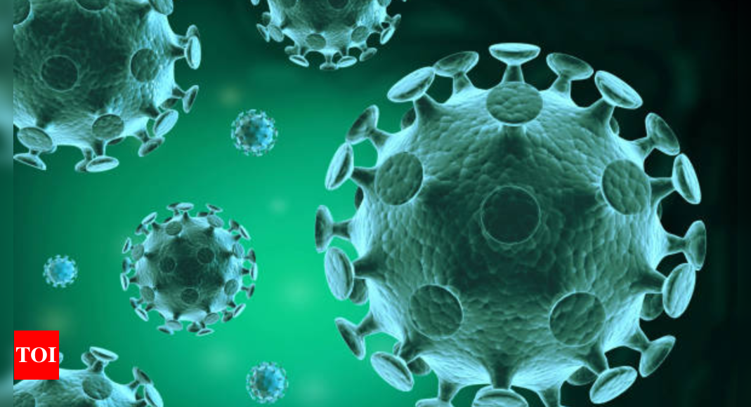 Featured image for "Rising Monkey Fever Cases in India: Symptoms, Prevention, and Alert in Karnataka and Kerala"