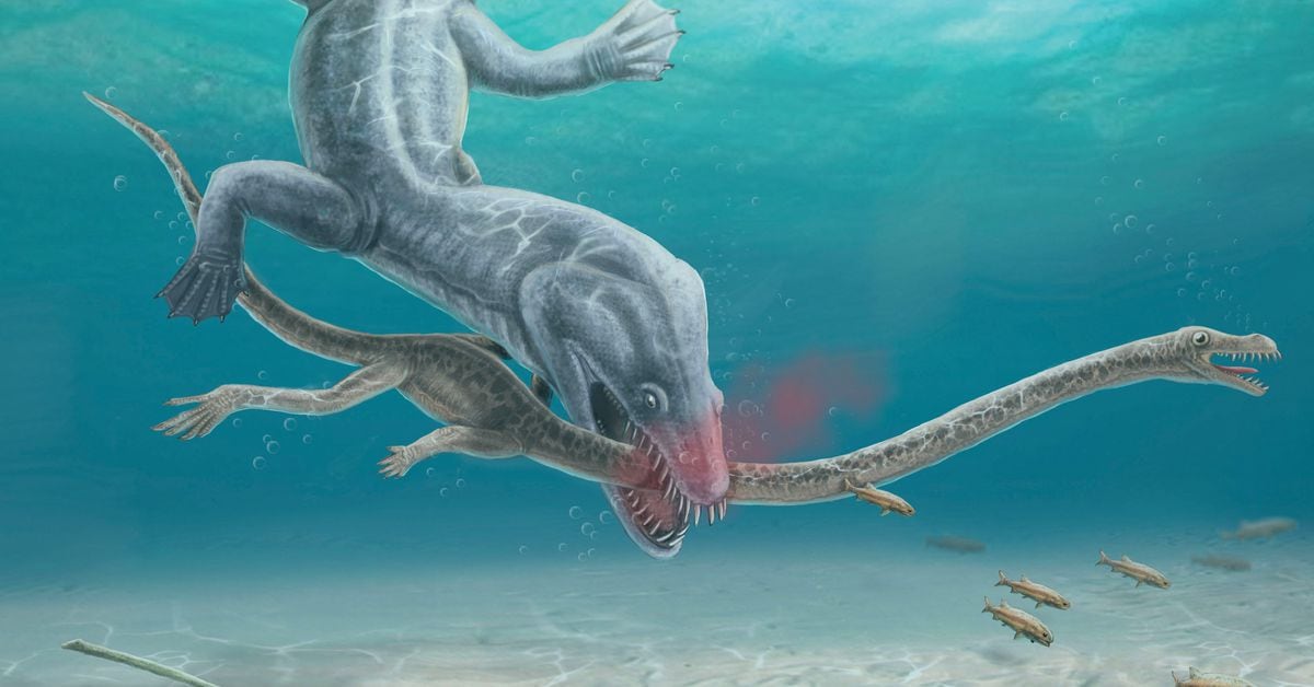Ancient sea creature suffered gruesome decapitation by dinosaur predator.