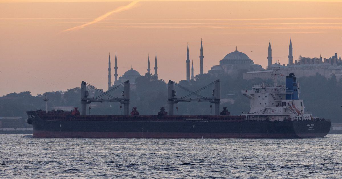 "Turkey Sends Ukrainian Commanders Home, Russia Seeks Clarification"