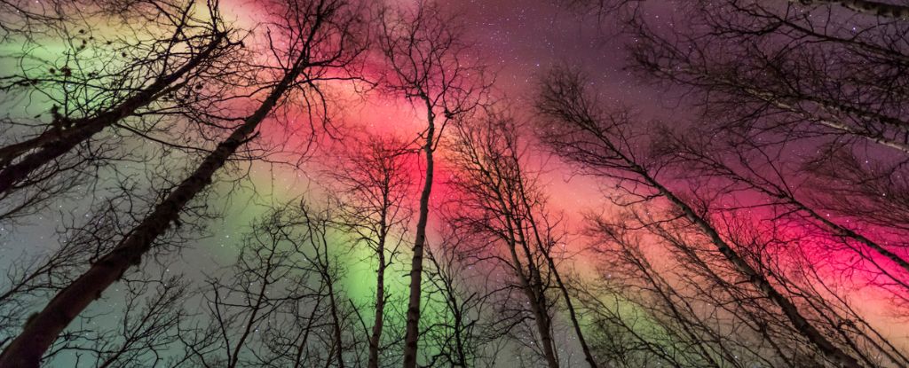Rare Red Auroras Illuminate Skies as Sun Creates 'Holy Grail' of Northern Lights