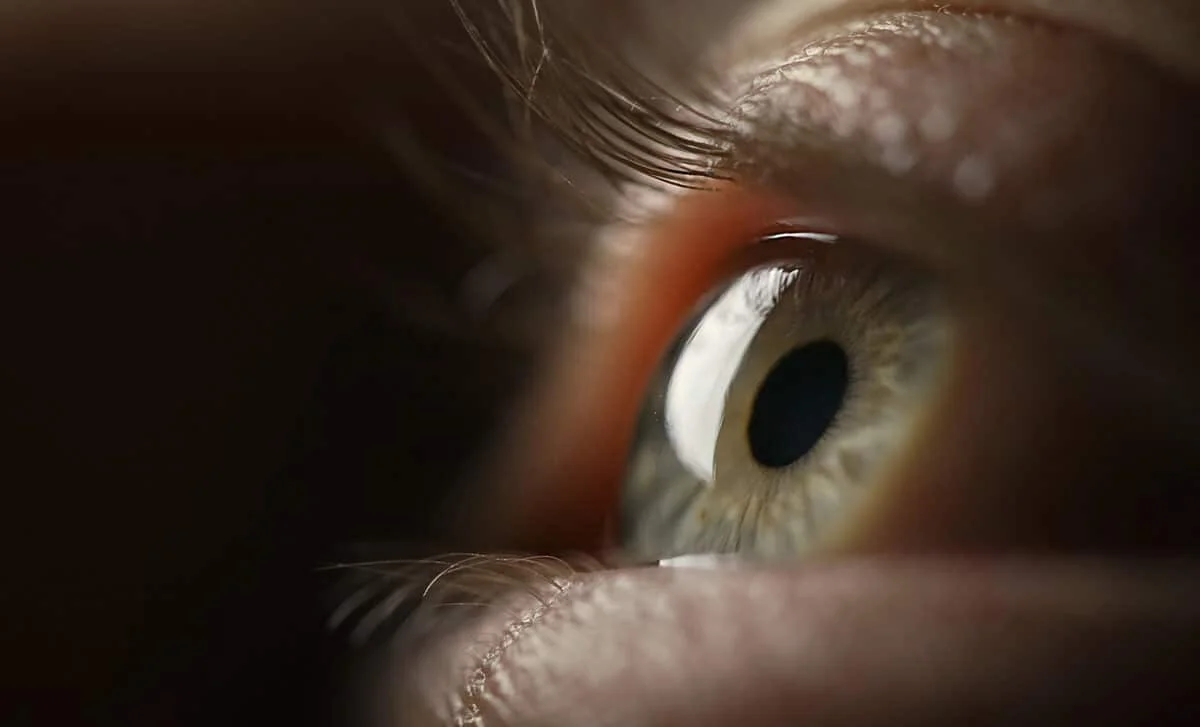 Eye's Blind Spot May Point to How Consciousness Emerges