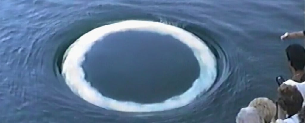 Featured image for Humpback Whales' Bubble Rings May Be a Form of Communication