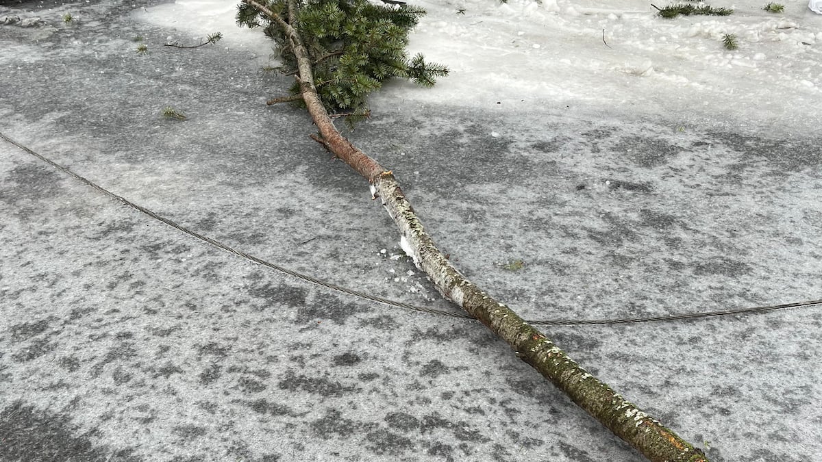 Featured image for "Fatal Electrocution: Oregon's Winter Storm Claims Three Lives"