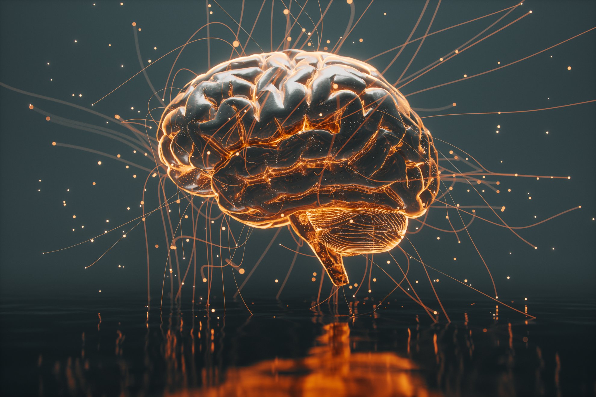 Palantir vs. Microsoft: Which AI Stock Reigns Supreme?