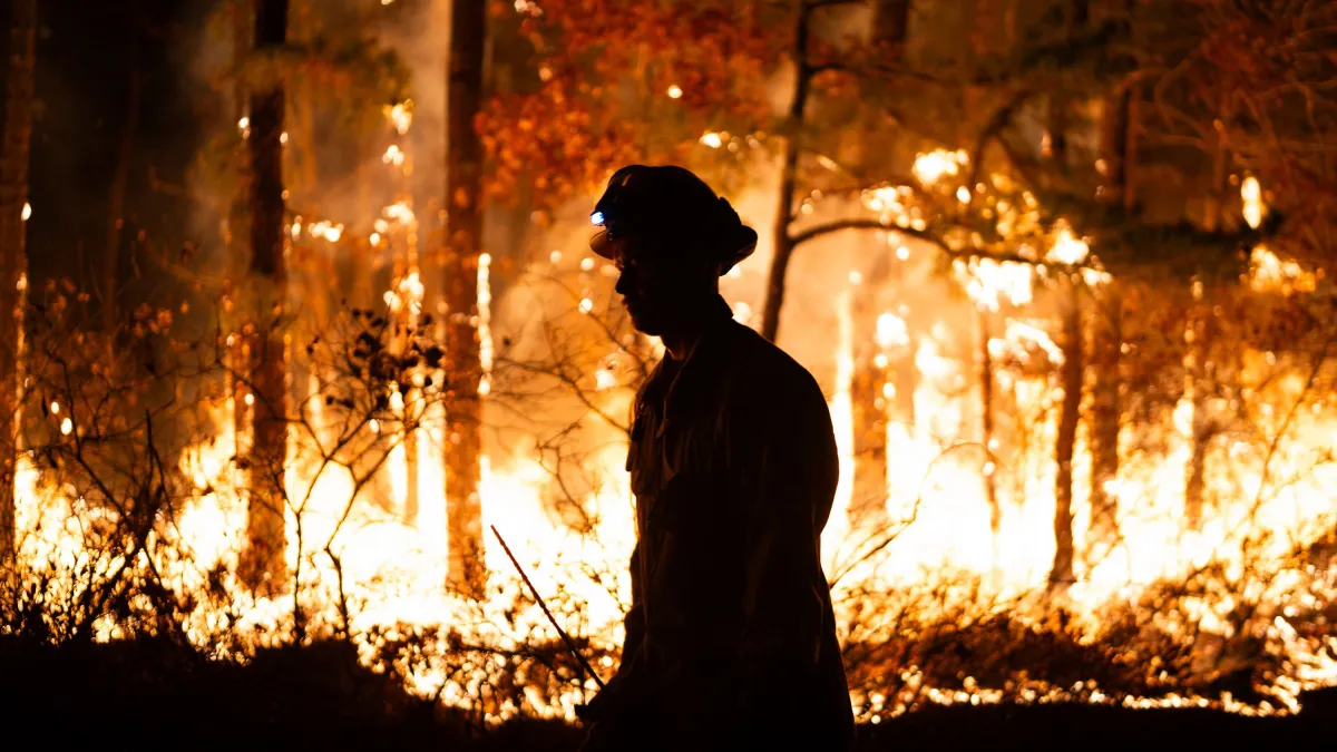 Smoke from NJ Wildfires Chokes NYC, Triggers Health Alerts