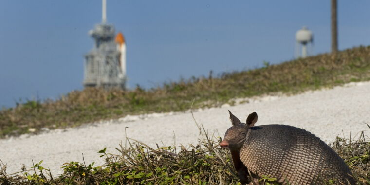 Featured image for Mysterious Leprosy Case in Florida Linked to Local Soil