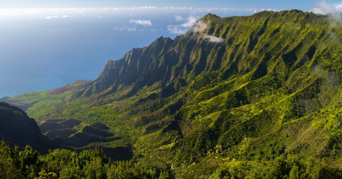 Featured image for Mark Zuckerberg's Secret Hawaii Compound: A Billionaire's Apocalypse Hideaway