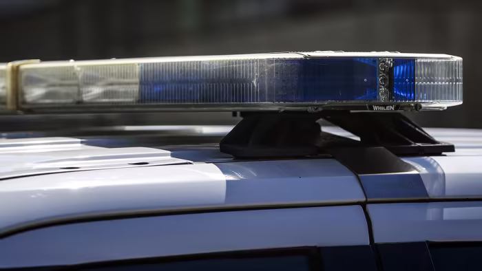 Missing SE Michigan woman found dead in Huron National Forest.