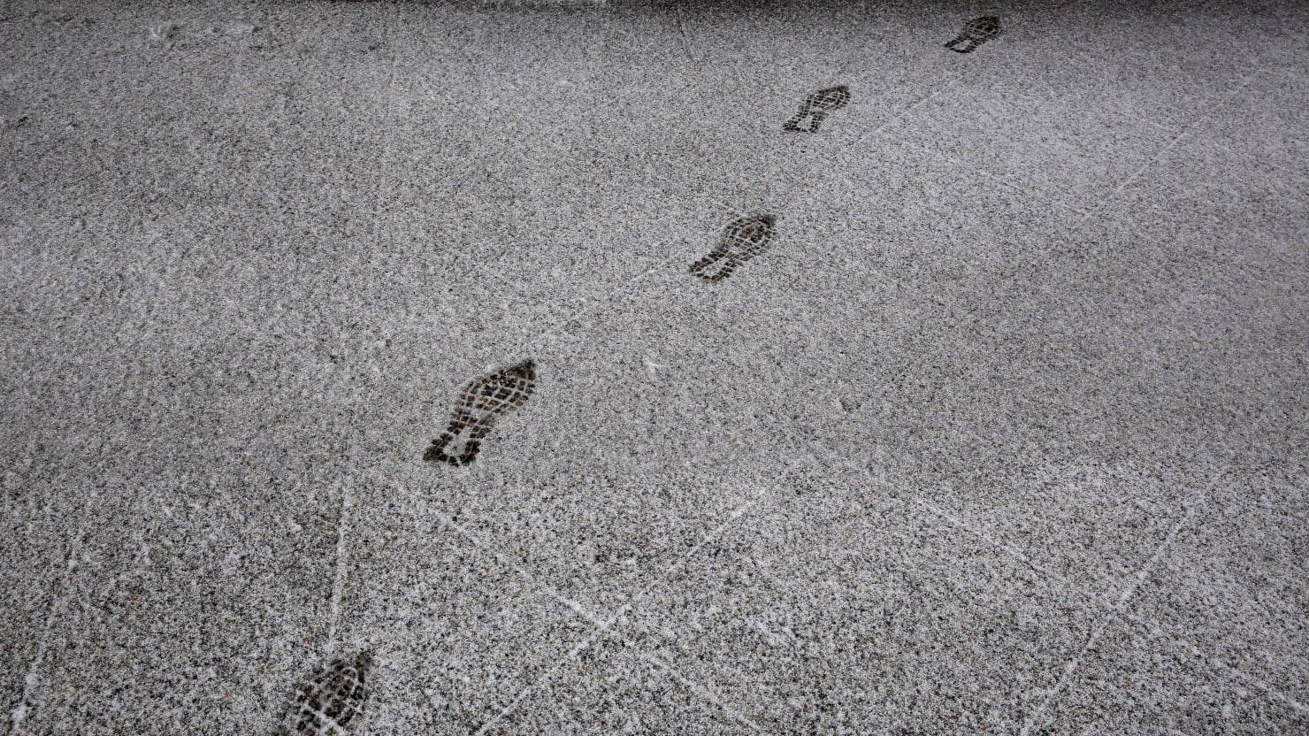 Featured image for Digital Devices Outperform Human Observation in Tracking Parkinson's Progression