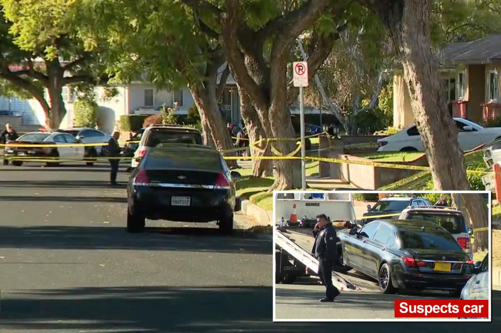 Homeowner's Deadly Defense: LA Resident Shoots and Kills Armed Burglars