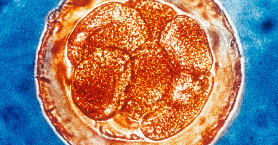 Cell History Captured by DNA 'Typewriters'