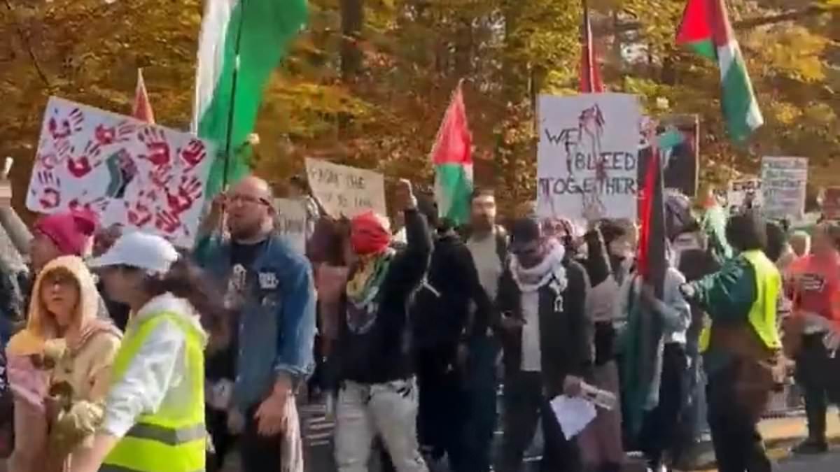 Pro-Palestine Protestors Rally at Biden's Delaware Mansion, Demanding Ceasefire