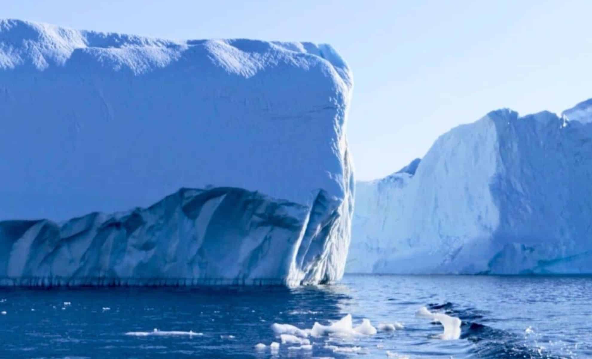 Featured image for Scientists Capture First Live Footage of Rare and Elusive Deep-Sea Creatures