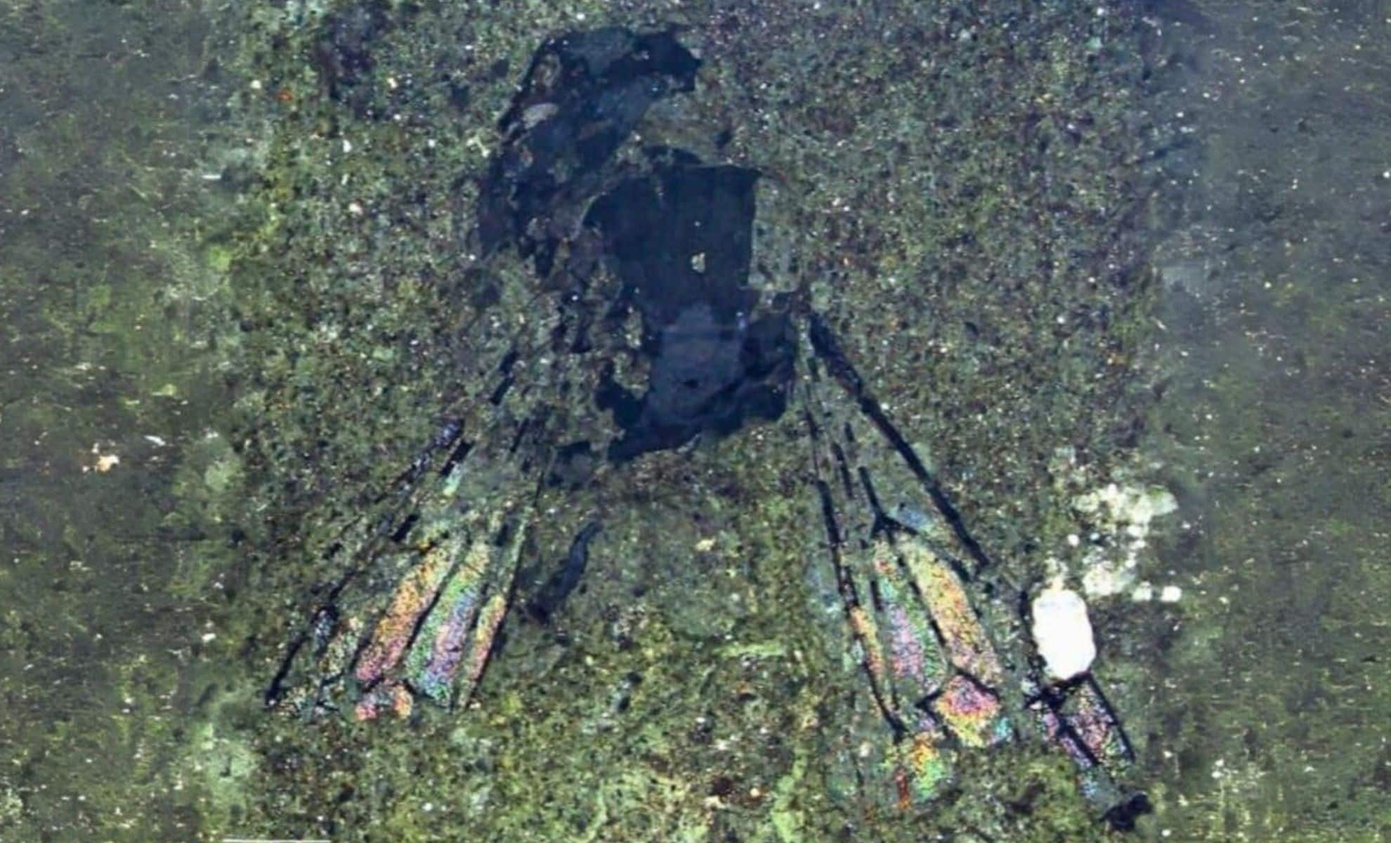 Featured image for Scientists Discover 14.6-Million-Year-Old Perfectly Preserved Bee Fossil