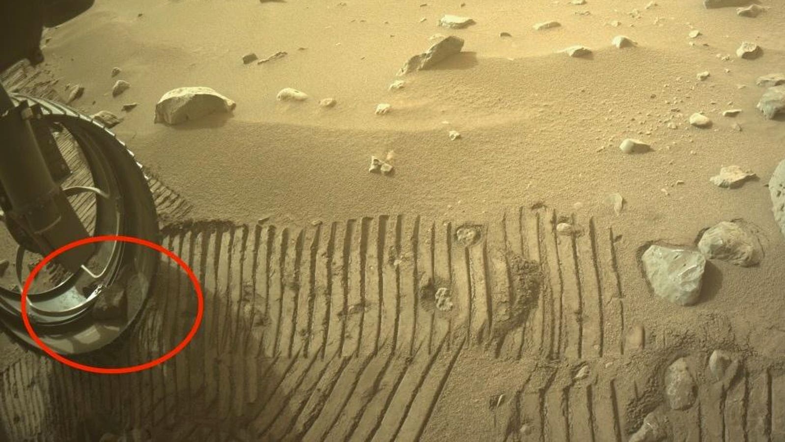 NASA Mars Rover Adopts 'Dwayne' the Pet Rock