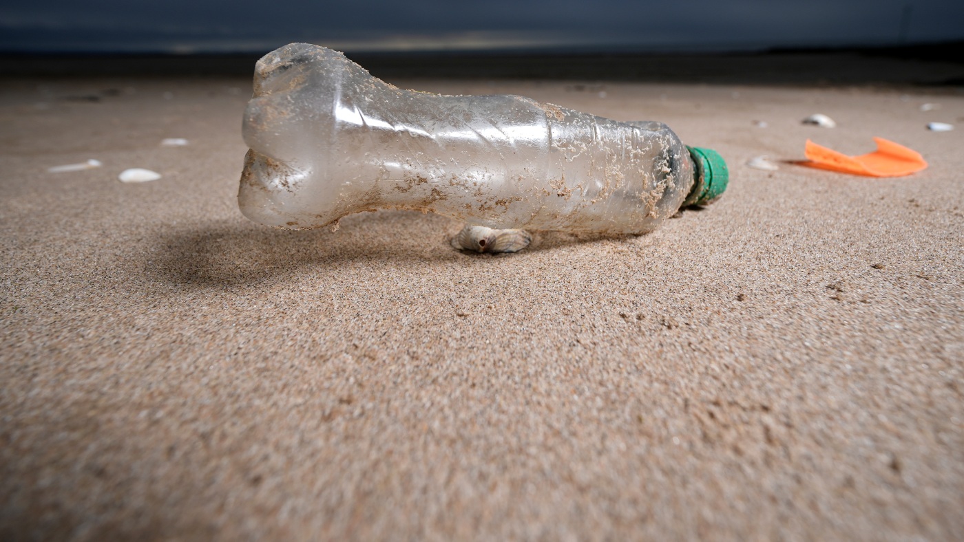 Featured image for Global Summit in South Korea Aims to Tackle Plastic Waste Crisis