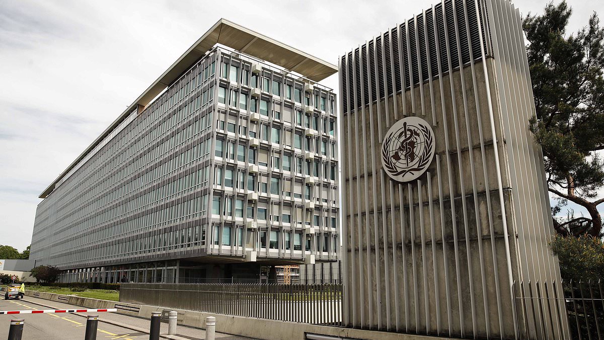 Featured image for "UN Envoy Criticizes WHO's Trans Health Committee for Lack of Medical Background and One-Sided Approach"