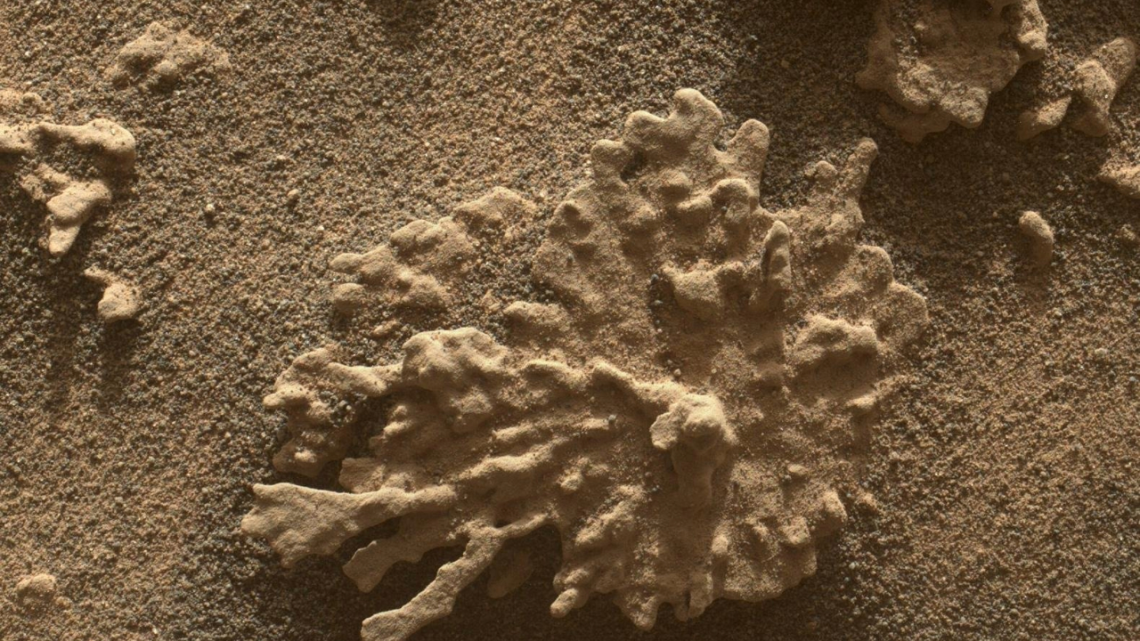 Featured image for NASA's Curiosity Rover Celebrates 13 Years on Mars with Highlights and Insights