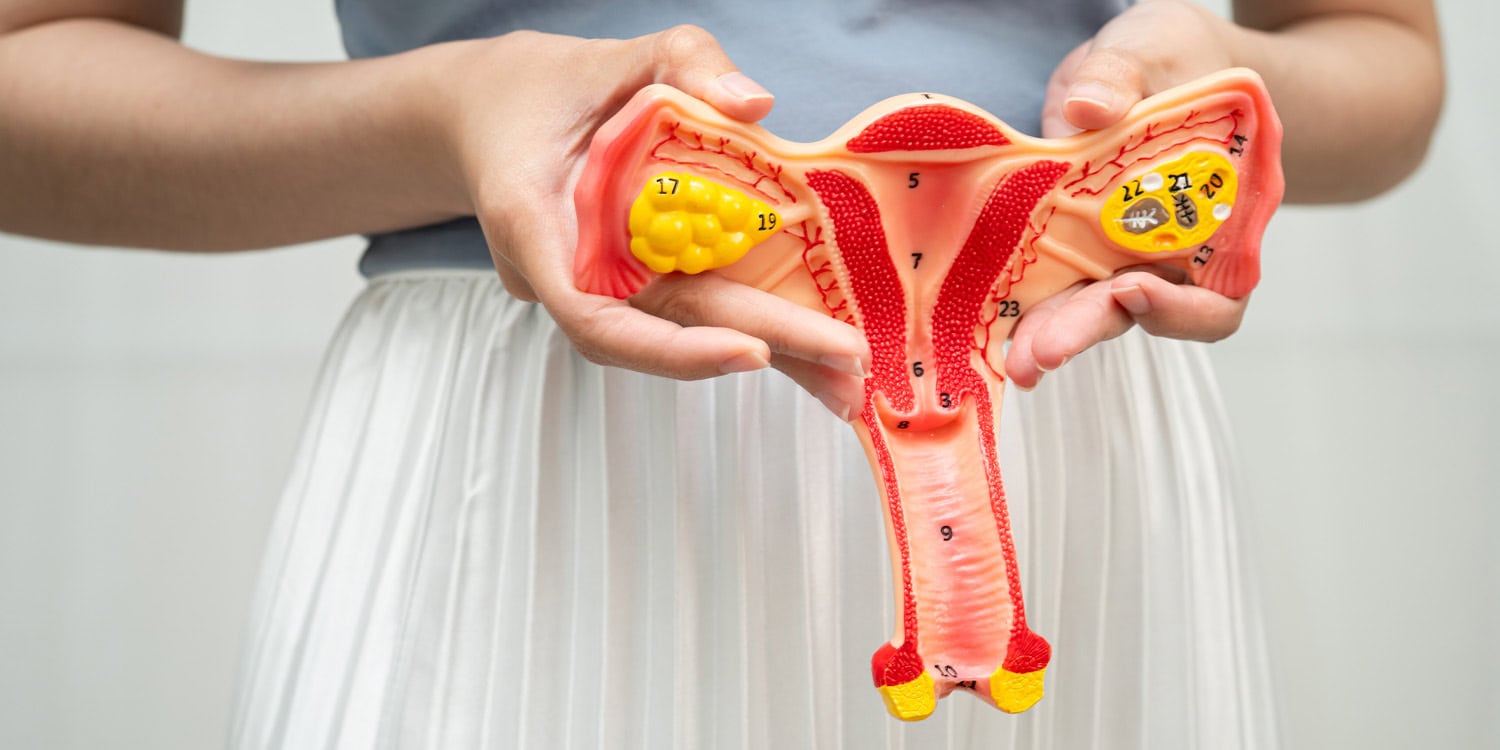 Featured image for Women's Language About Genitals Linked to Sexual Well-Being