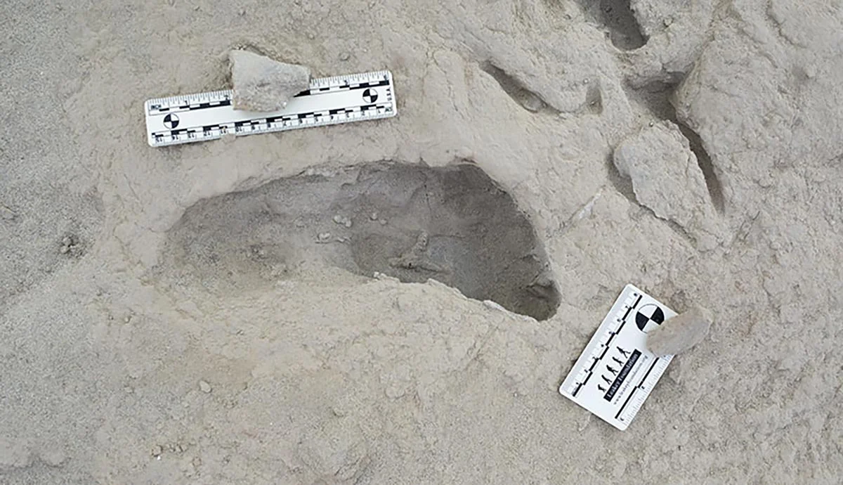 Featured image for 1.5-Million-Year-Old Footprints Reveal Hominin Coexistence in Kenya