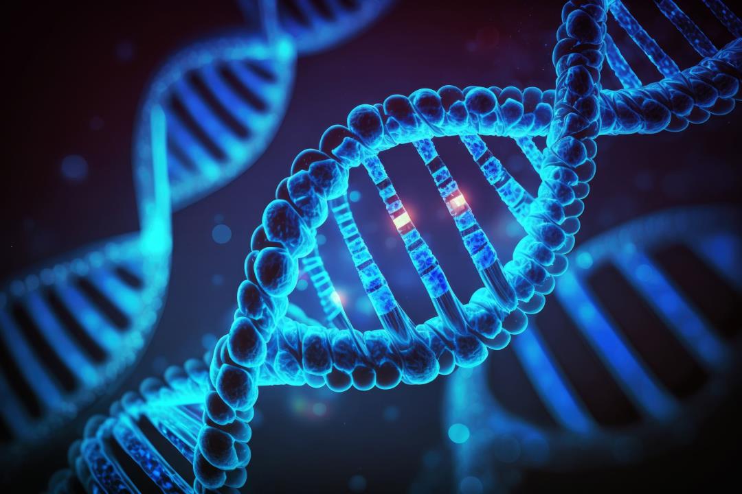 "Gene Discovery Offers Hope for Pancreatic Cancer Cure"