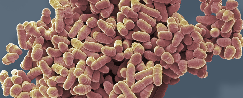 Featured image for Innovative Anti-Aging Drug Targets Cells to Reverse Aging