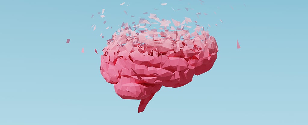 Featured image for Mediterranean Diet Linked to Slower Brain Aging, Studies Show