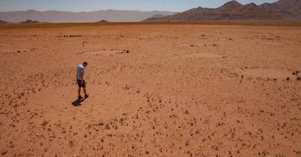 Featured image for Global Satellite Discovery: Unraveling the Enigma of Fairy Circles Across Continents